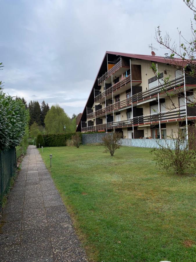 Ludwigswinkel Ferienwohnung Lara מראה חיצוני תמונה